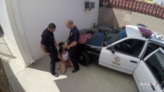 Screw The Cops Rose Darling - 1080p | Download from Files Monster