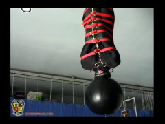 Summer of Petra - Film | Download from Files Monster