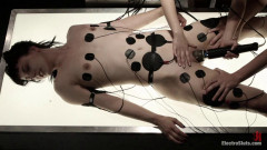 Kink Electrosluts Presents The Doctors Monster | Download from Files Monster