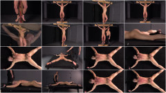 Ian Levine - Final Consent IV - Chapter 6 | Download from Files Monster