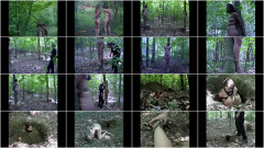 Tyler File 2 | Download from Files Monster