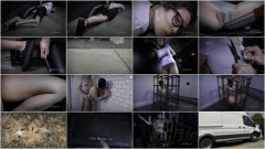 Transit Turbo | Download from Files Monster