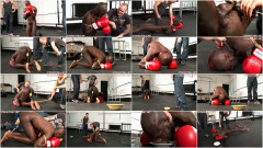 Straighthell the best vol. 11 | Download from Files Monster