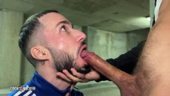 Parking date | Download from Files Monster