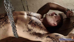 Gymnast Anton in Slavery - Final Part | Download from Files Monster