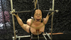 Toaxxx Extreme Bondage for Minuit | Download from Files Monster