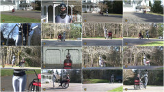 Savannah in Training | Download from Files Monster