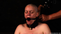 Nothing Interrogation Brutalmaster | Download from Files Monster
