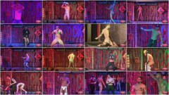 Stockidol - Qualifications | Download from Files Monster