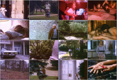 Les Flines 1972's | Download from Files Monster