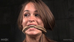 HD Bdsm Sex Videos Kacy Lane Xmas Bonus | Download from Files Monster