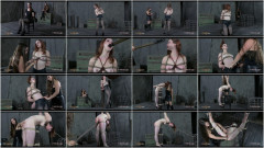 Wishlist | Download from Files Monster