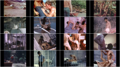 Falcon Icons - The 1970s - 480p | Download from Files Monster