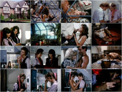 Debbie Does 'Em All 1984 Part 1 | Download from Files Monster