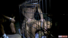 Say Uncle - Pig Bottoms - Welcome, Ya Filthy Pig Bottom - Apollo Fates | Download from Files Monster