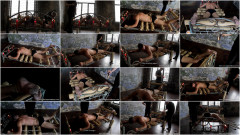 A New Captive From Shibari Maestro Scn. 3 Part 2 | Download from Files Monster