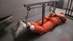 The Shackler Hogtie Frame | Download from Files Monster