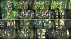 Subspaceland - Lost In The Woods | Download from Files Monster