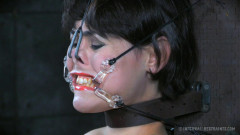 Bdsm Most Popular Timid Tits | Download from Files Monster