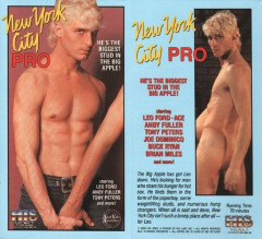 New york city pro | Download from Files Monster