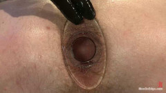 Jeremy Stevens and The Perverted Underwear Thieves - Part Two | Download from Files Monster