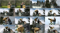 Golden Bird at the Schloss | Download from Files Monster