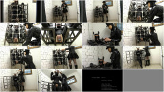Caged | Download from Files Monster