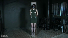 Stress & Fear | Download from Files Monster