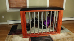 Sarah vs. The Scavenger Hunt | Download from Files Monster