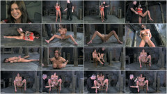 Hurting Busty Hunter | Download from Files Monster