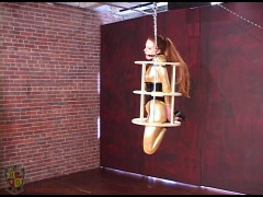 Roly-Babes | Download from Files Monster