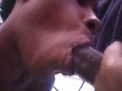 Sucking black dick | Download from Files Monster