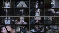 Neophobia episode 2 | Download from Files Monster