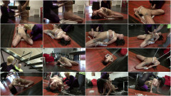 Toaxxx Azooka Bondage Session | Download from Files Monster