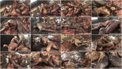 Black Wrestling Network Barnstorm 6 - X-Terminator vs. Jae Destiny | Download from Files Monster