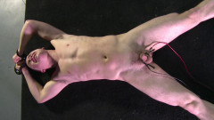 DreamBoyBondage Daniel - Birthday Boy - Part 8 | Download from Files Monster