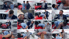 Bravado | Download from Files Monster