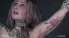 Rose Quartz | Download from Files Monster