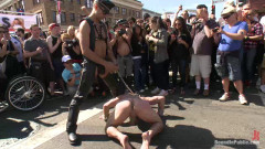 Naked Pandas Trick or Treat - Just in time for Halloween | Download from Files Monster