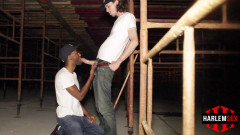 HarlemSex Videos part 08 | Download from Files Monster