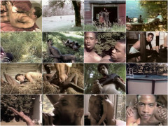 Made in the Shade 1 (1985) | Download from Files Monster