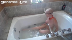 Bath time with Greyhound (Head Shaving Edition) | Download from Files Monster