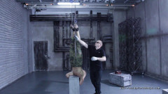 AL part 3 | Download from Files Monster