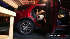 Harlemsex Bareback fucking in the car | Download from Files Monster