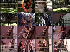 In Harness | Download from Files Monster