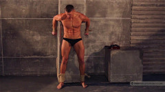 Edward Chapman | Download from Files Monster