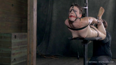 Stuck in Bondage | Download from Files Monster