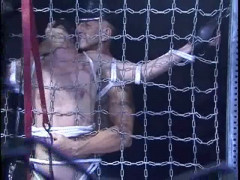 Shadow Dom | Download from Files Monster