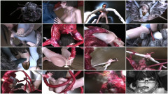 Little_ballerina | Download from Files Monster