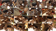 Detroit After Dark part 2 | Download from Files Monster